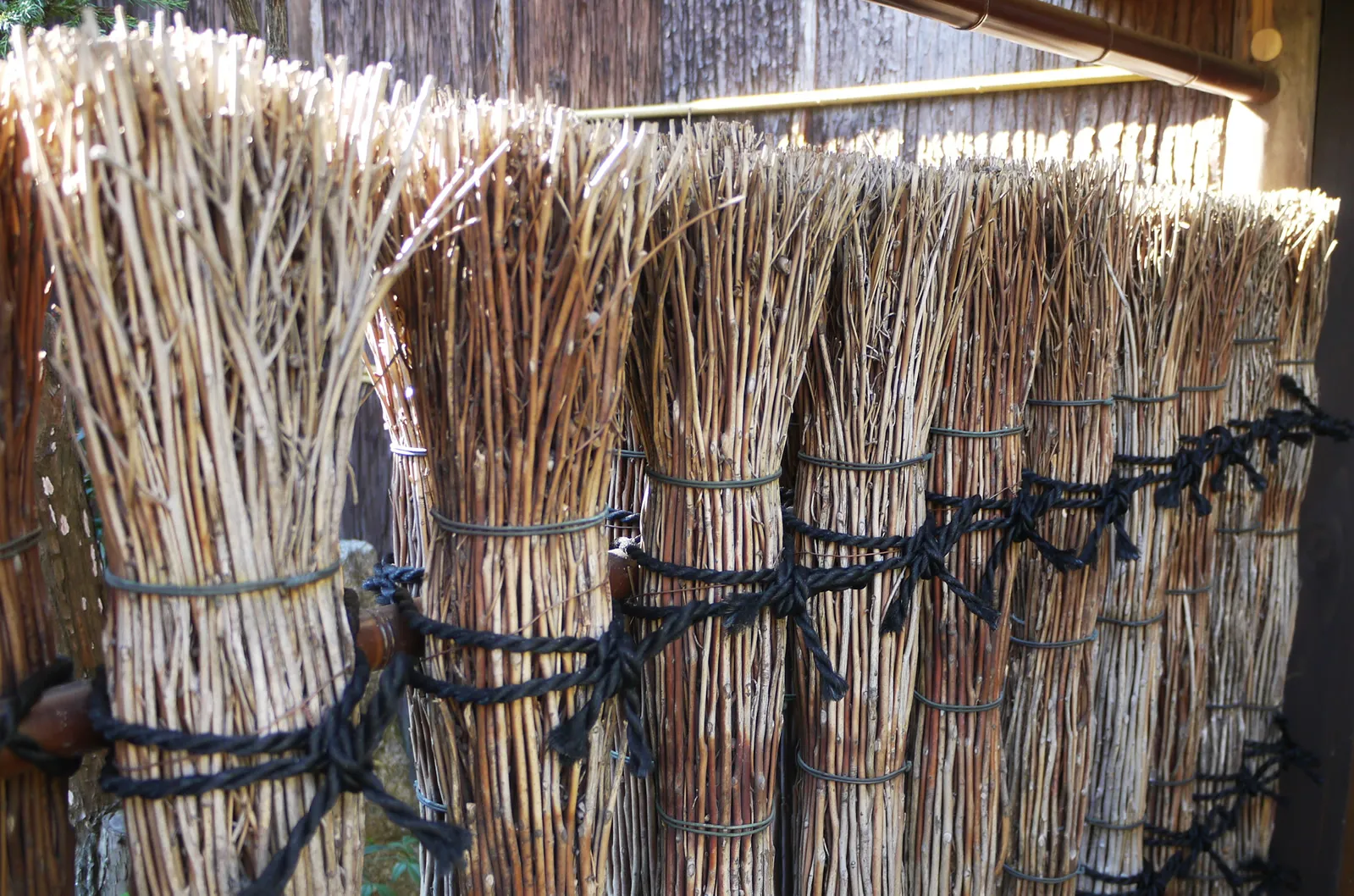 クロモジ垣。クロモジは日本庭園で使われる素材でもある。